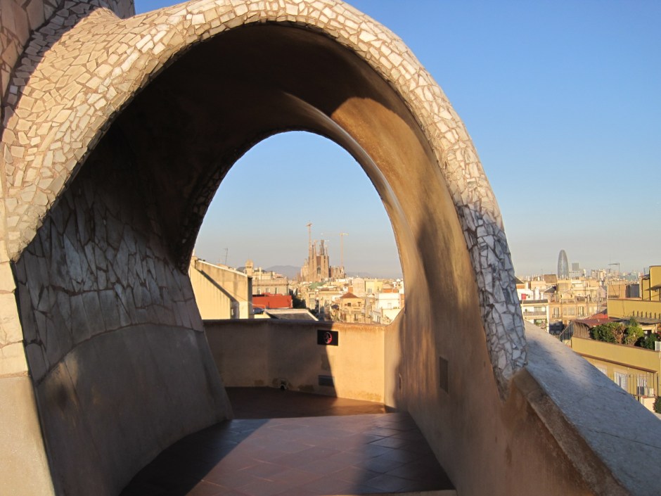 I've never seen anything like it!