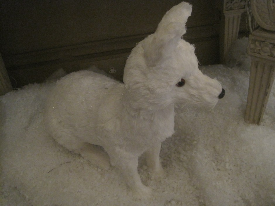 Like this cute snow fox