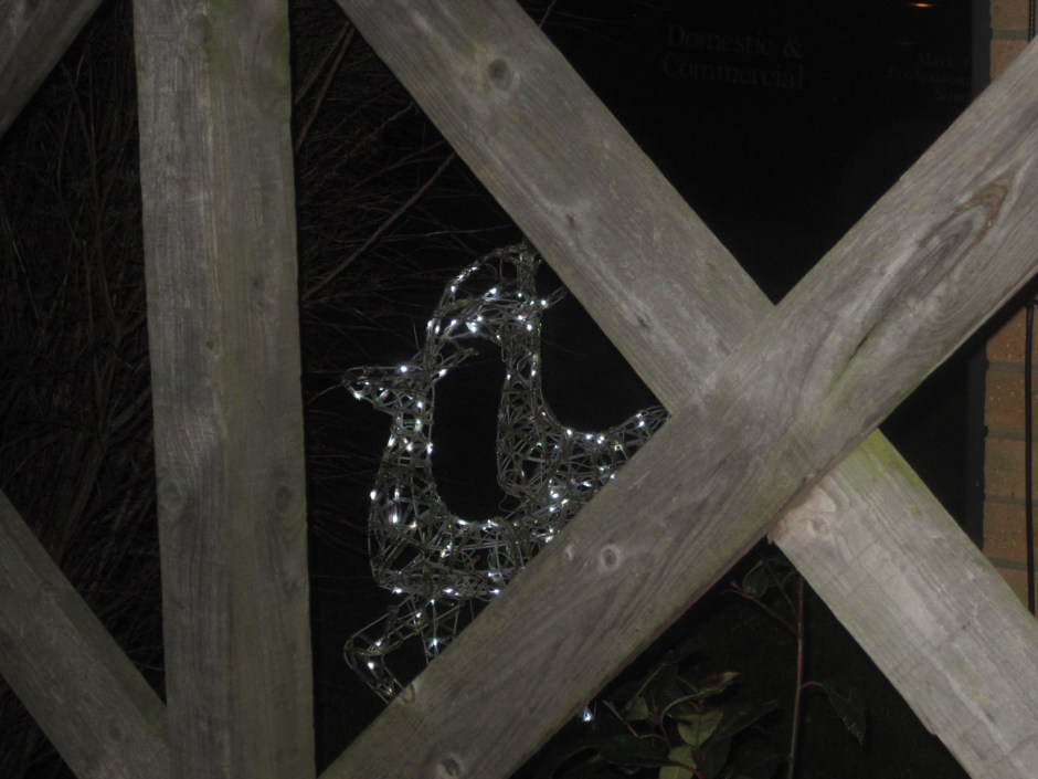 I seem too have a thing about reindeer this Christmas!