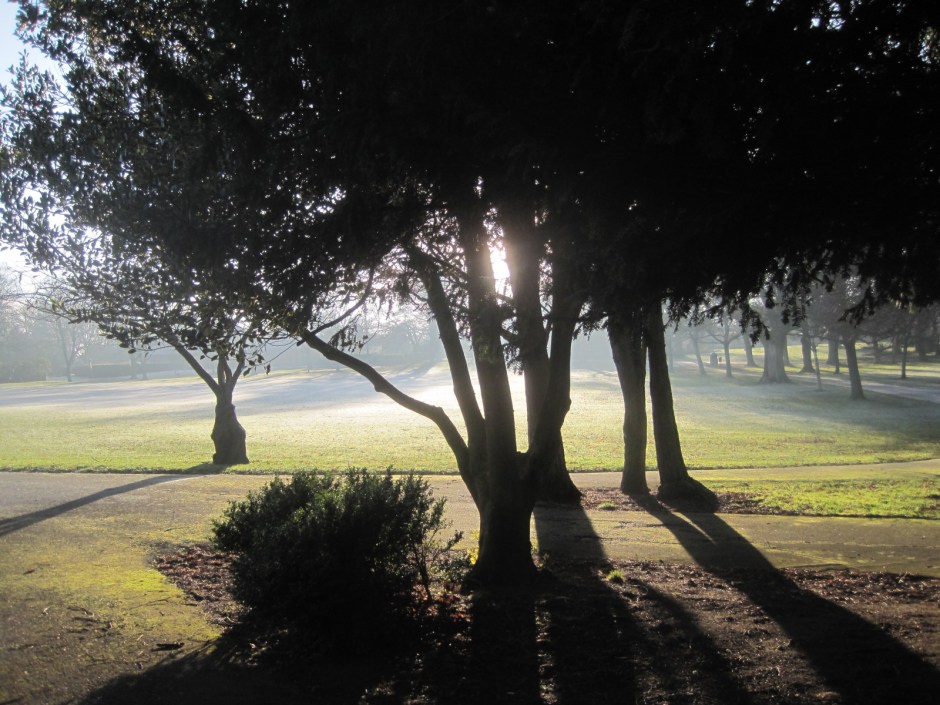 But I loved the drama of the light.