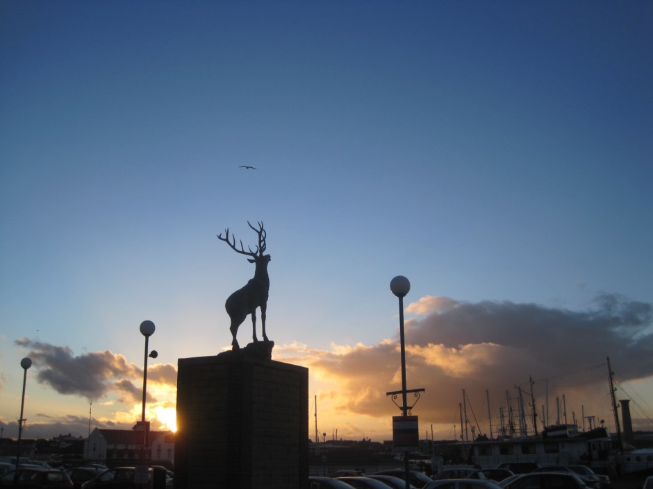 The deer seems to sniff the air