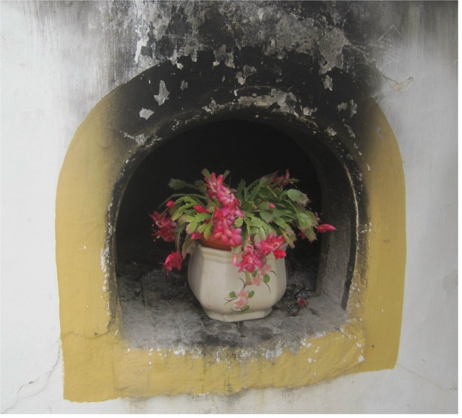 Flowers in bread oven
