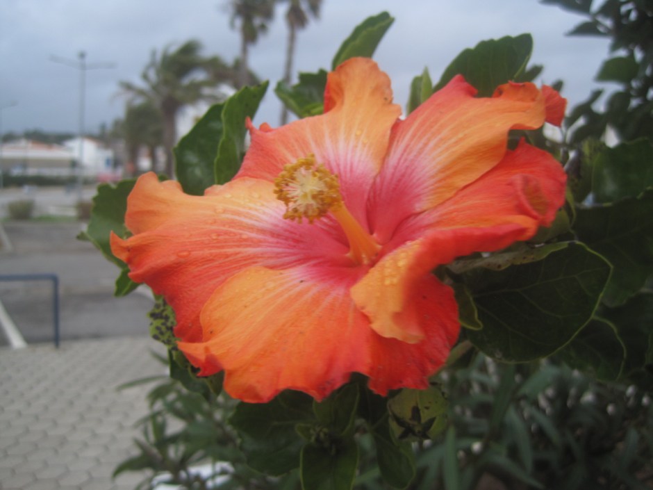 But still hopeful of a bright tomorrow