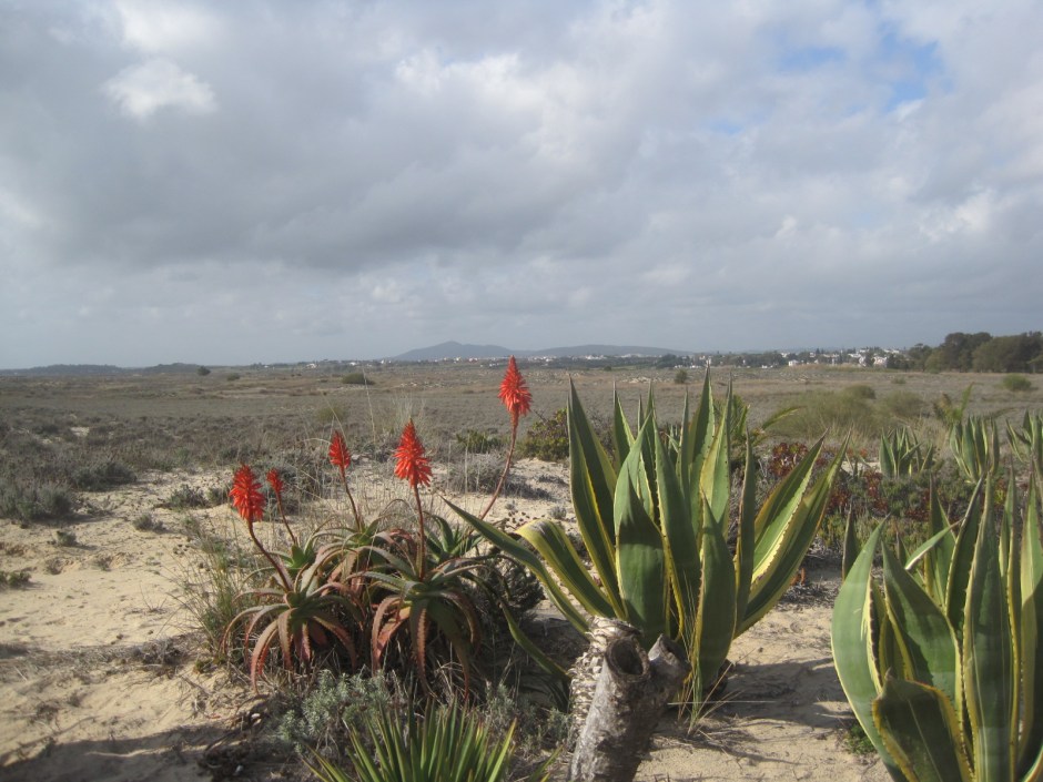 Even with moody skies like this