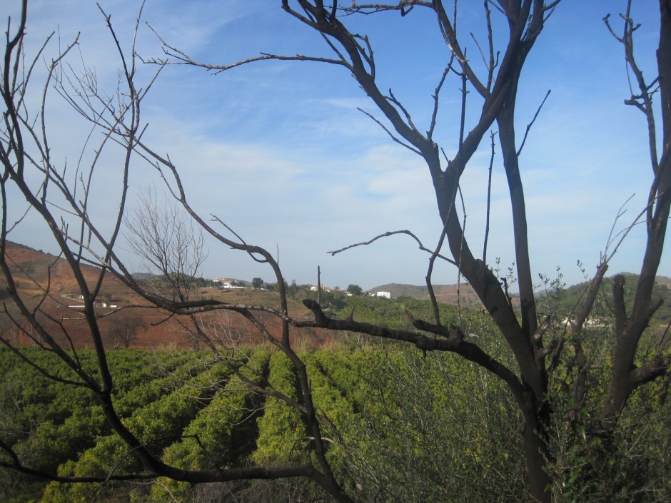 Countryside like this