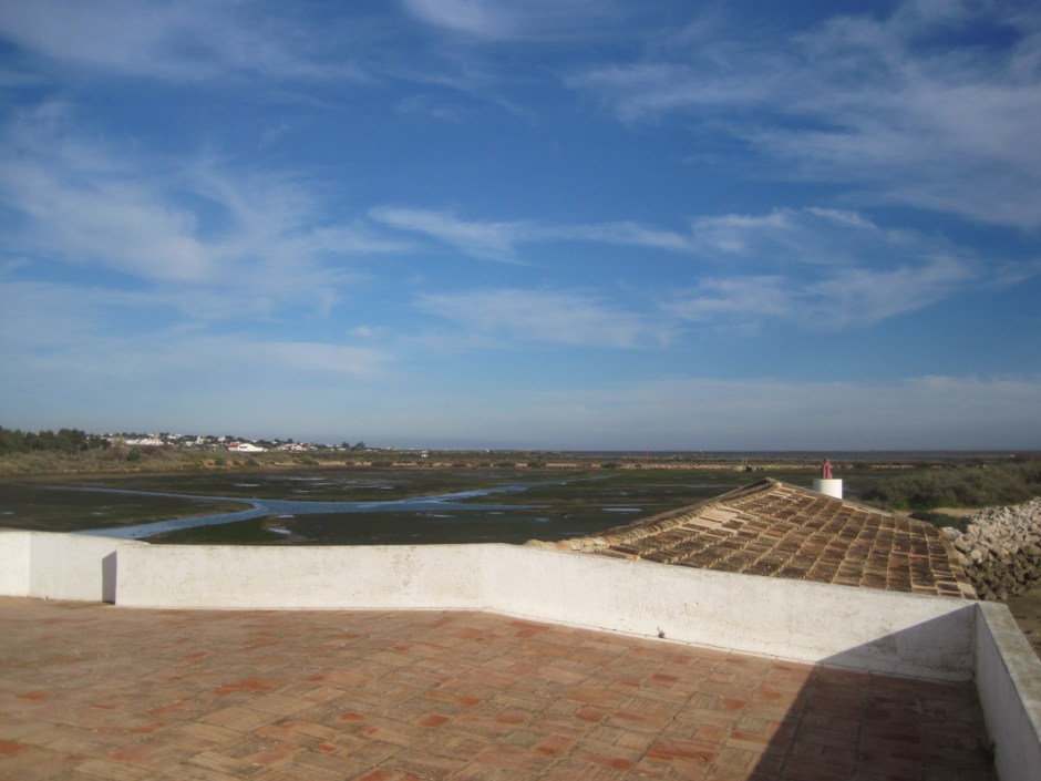 In a bird watcher's paradise