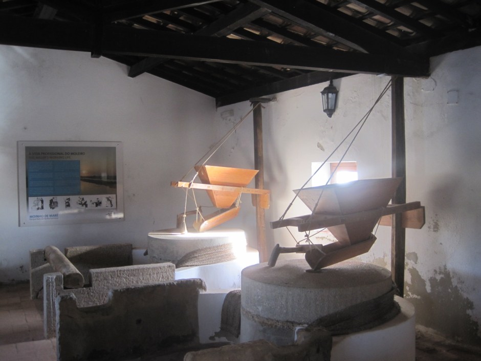 I had never seen anything quite like it before