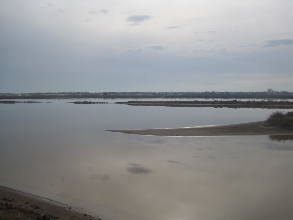 I loved this landscape