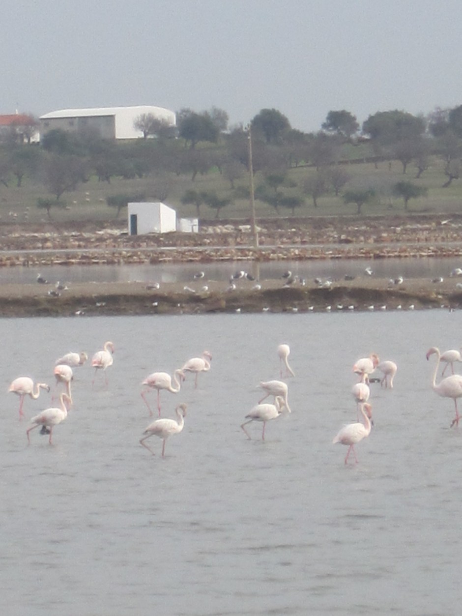 And seem very content to be there 