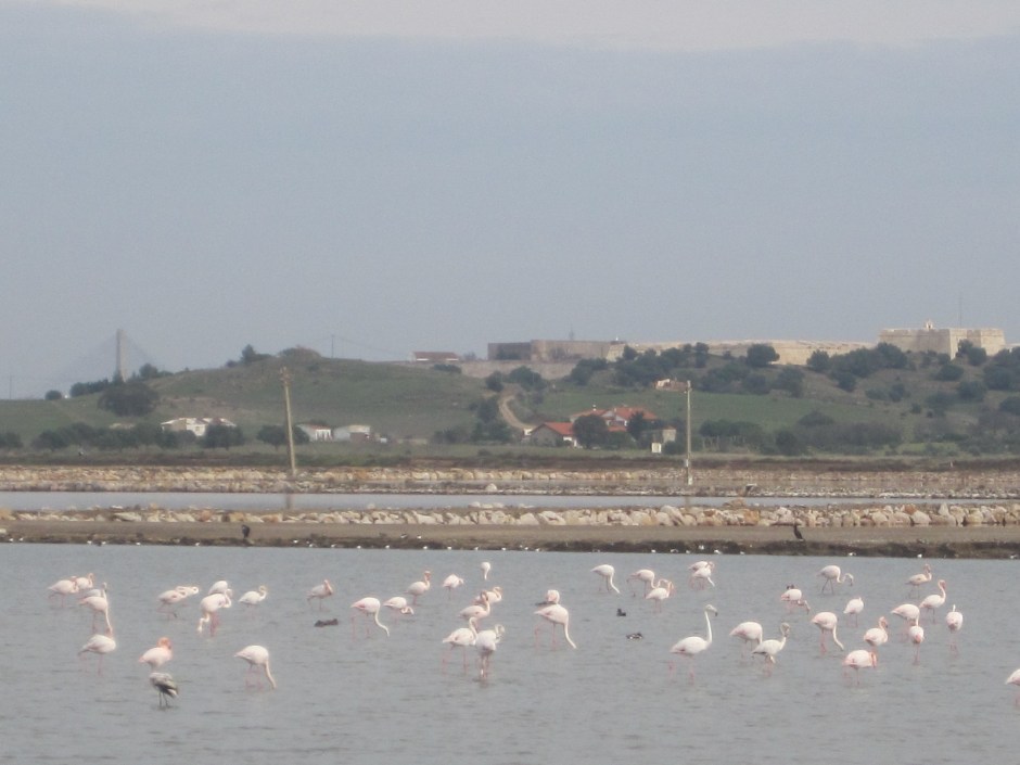 And just faintly you can see the bridge to Spain, across the Guadiana