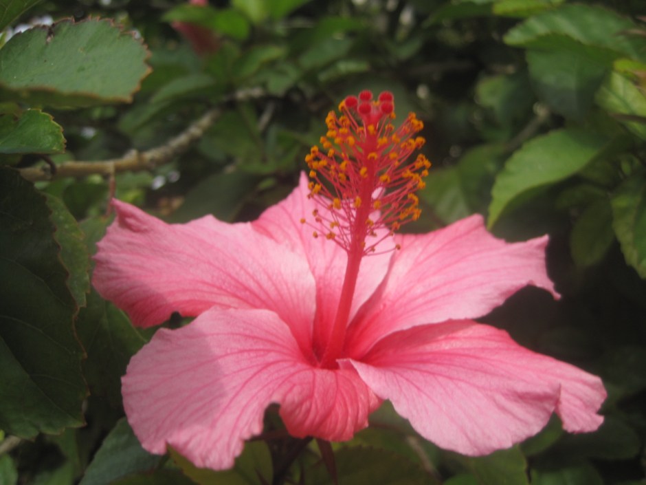 But I always love a "pop" of colour