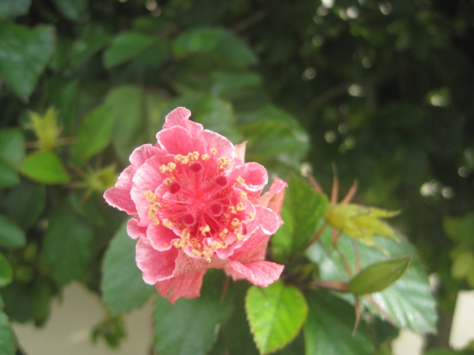 So we'll end in the rain. This might be the guy for me!