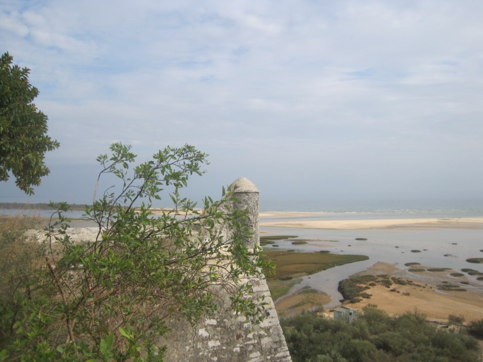 Or maybe a view like this would charm