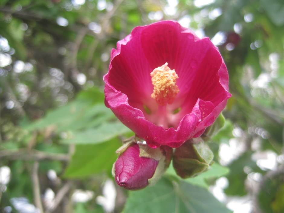 Yes, it rains in the Algarve, but it's still beautiful!