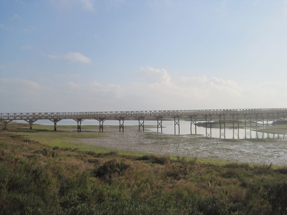 While the bridge stretched all the way back to the beach