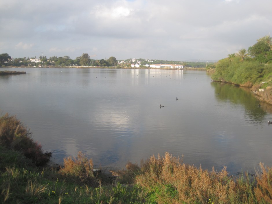 The lake and the country club