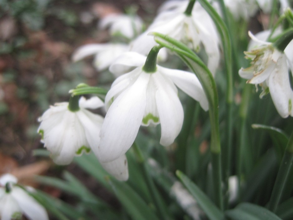 Fragile and beautiful