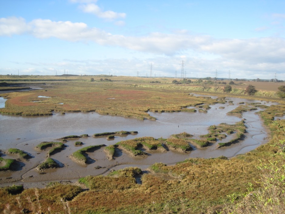 The patterns carved by the creek vary too