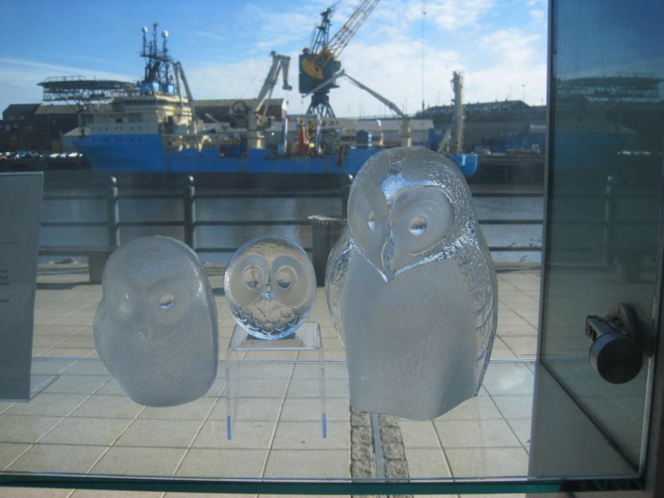 I know someone who loves owls!