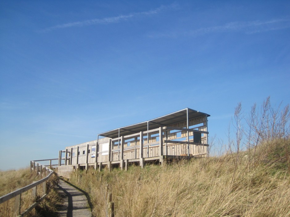Instead, we're starting at the bird hide on the Seal Sands road