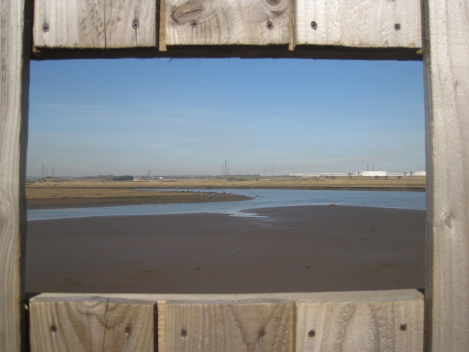 And still get a decent view of the seals (and the industry!)