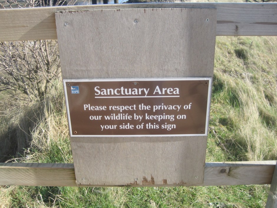 Now a seal might like a little privacy, and rightly so