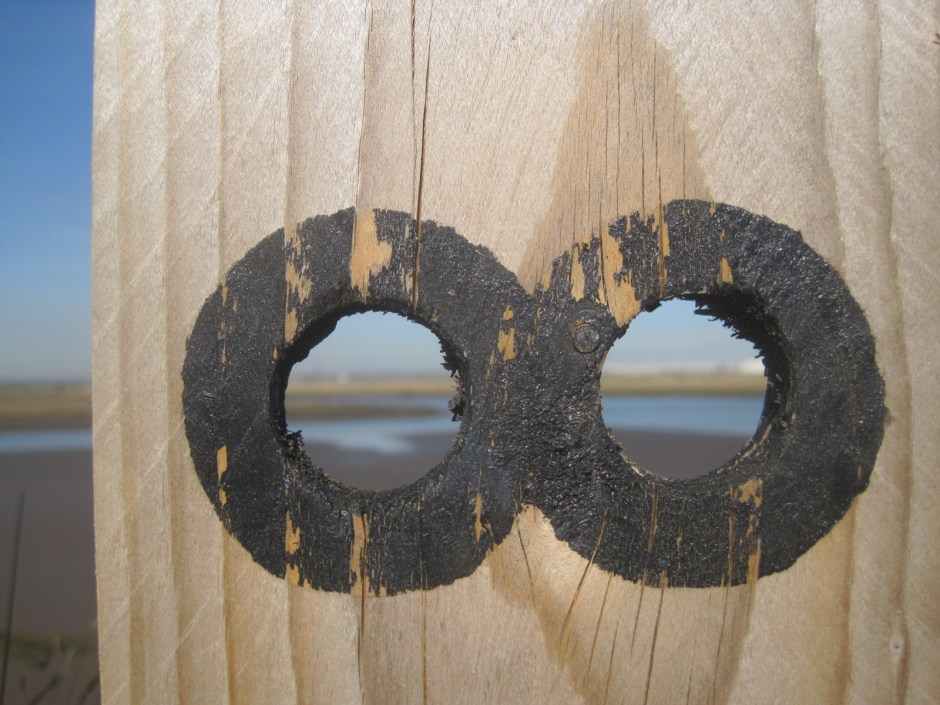 The spy holes in the hide
