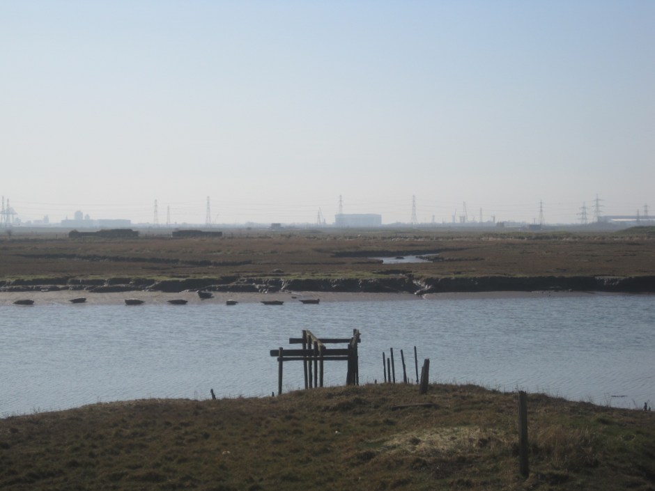 But whenever they can, they're there