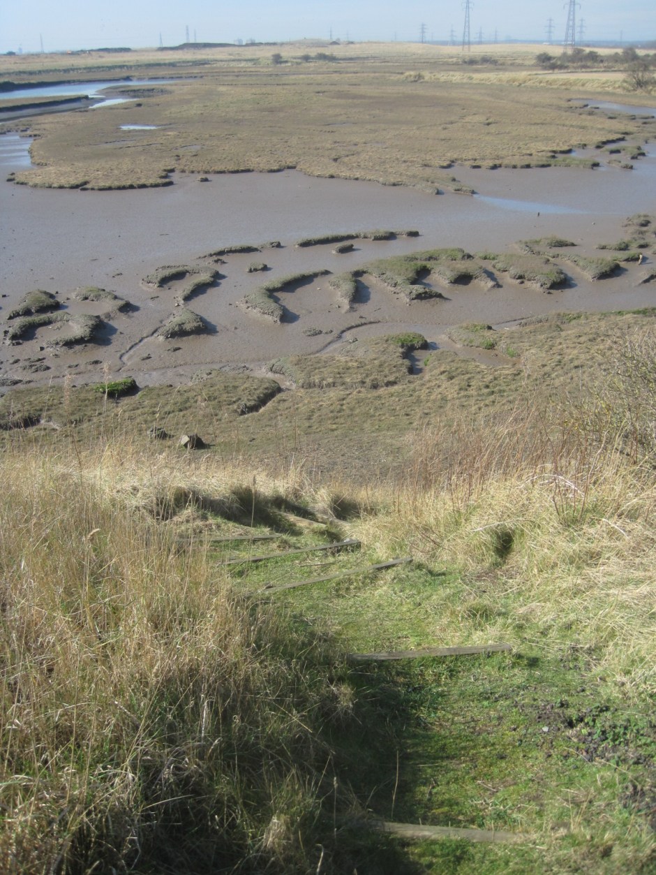 The footpath winds around the creek