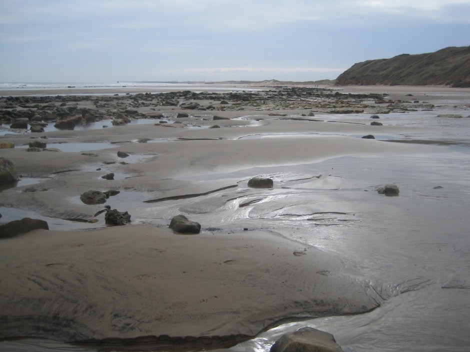 Today a watery sun glints in the rockpools