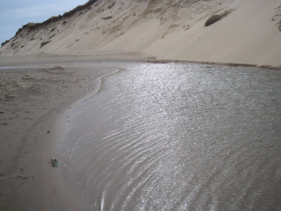 In places the sea is trapped at low tide 