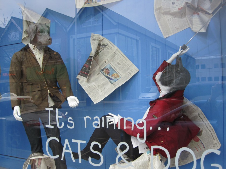 It's raining cats and dogs!