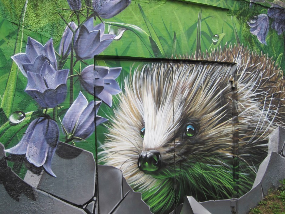 Don't you love this little creature?