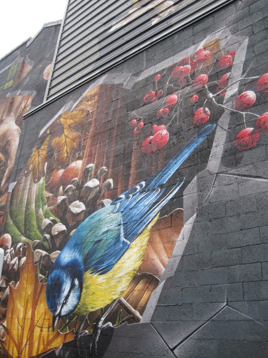 Keeping a watchful eye