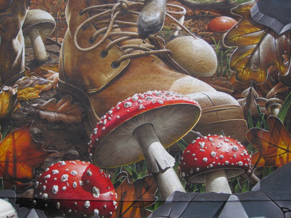 Among the toadstools