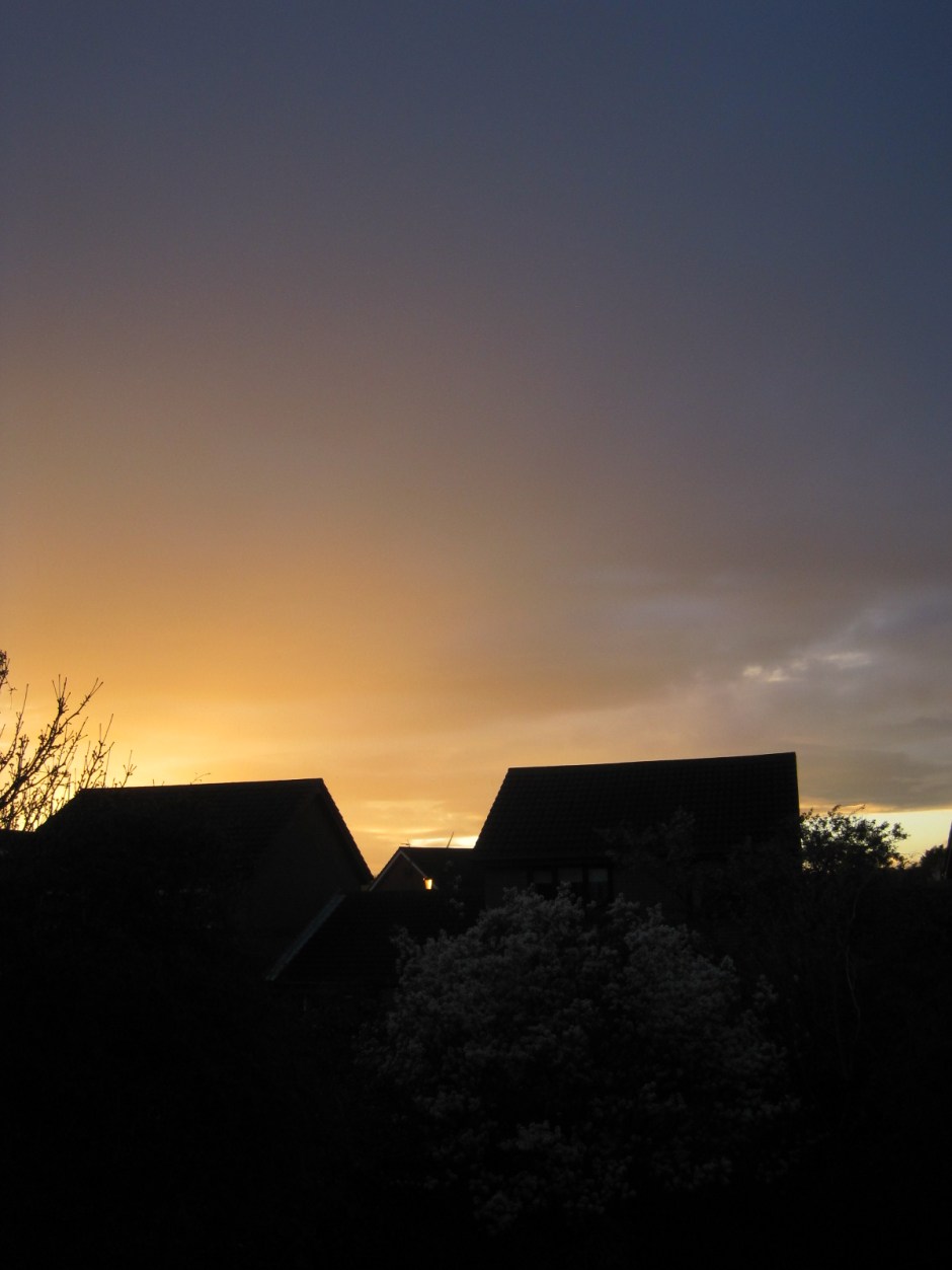 And drains the colour from our world