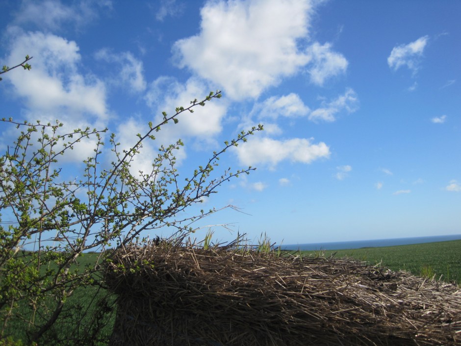 The sea is over on your right, across the fields 