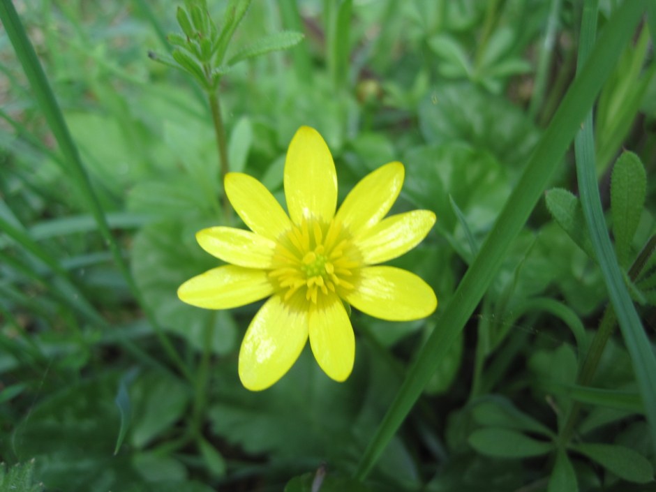 And a twinkling or two might catch your eye