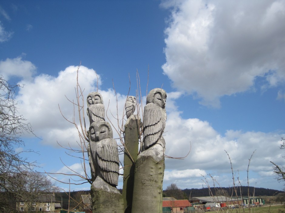 And a whole family of sleepy owls!