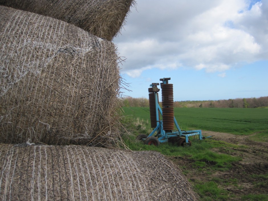 And rusty old bits of farming equipment