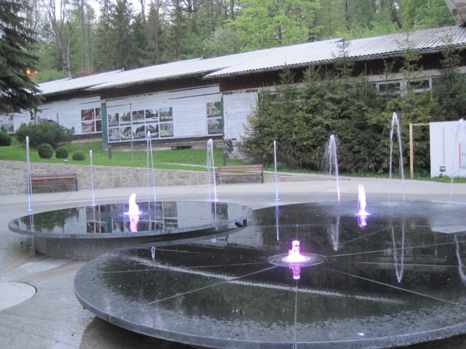 Glimmering in the dusk