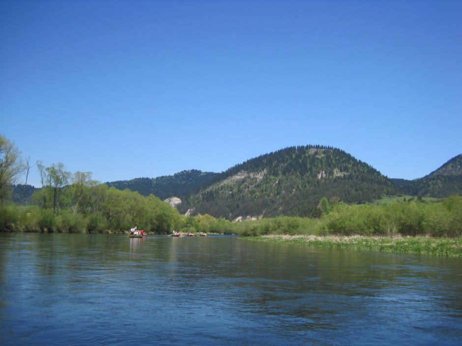 A flat expanse of sunny water