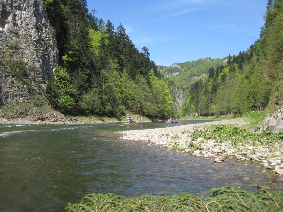 The scenery is lush and green