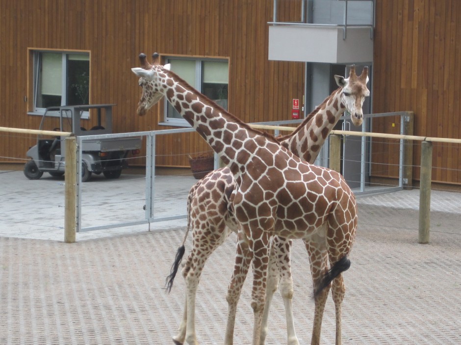 But awfully good at posing!