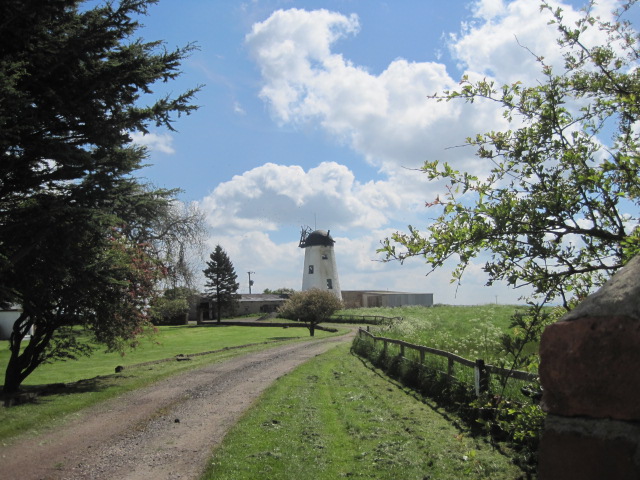 Even a traditional one