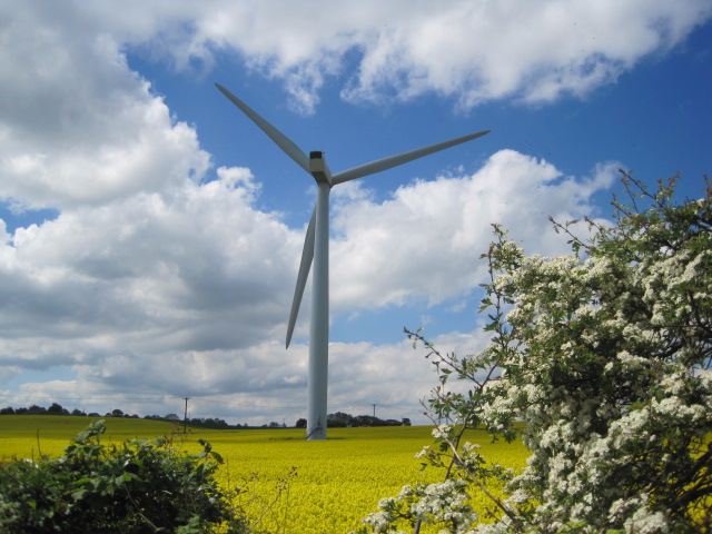 Love them or hate them, you can't ignore a windmill