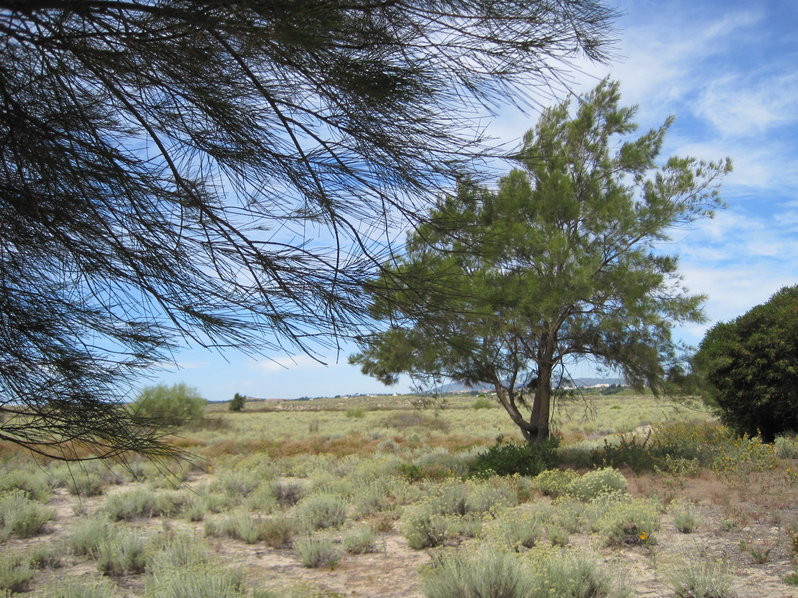 I love the landscape