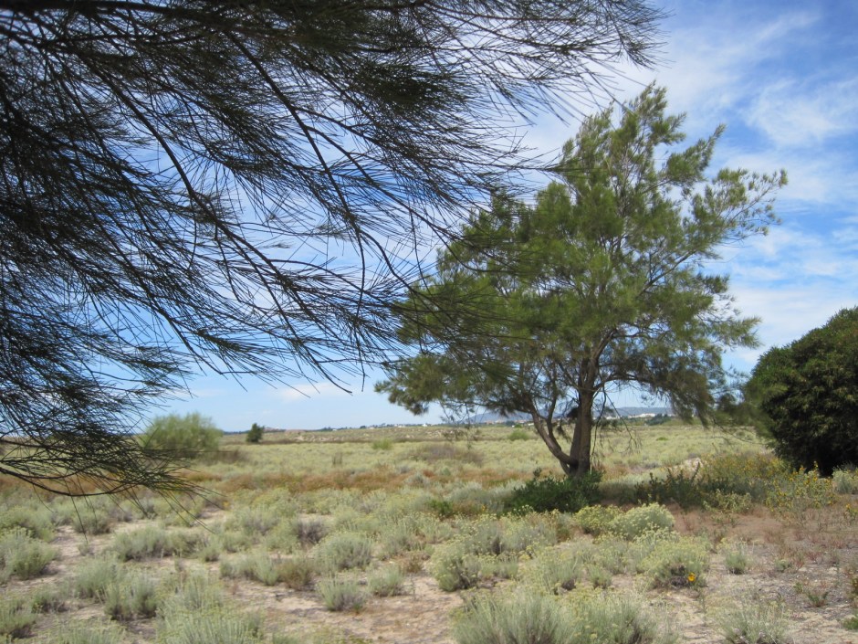 I love the landscape