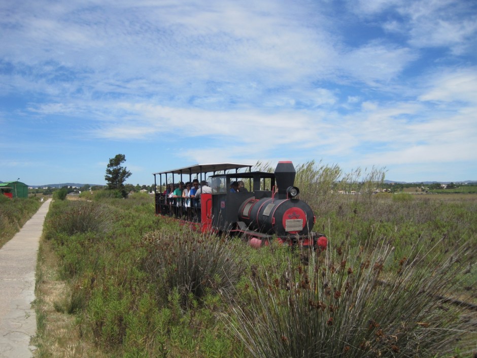 Look what runs alongside the footpath!  Too tempting!