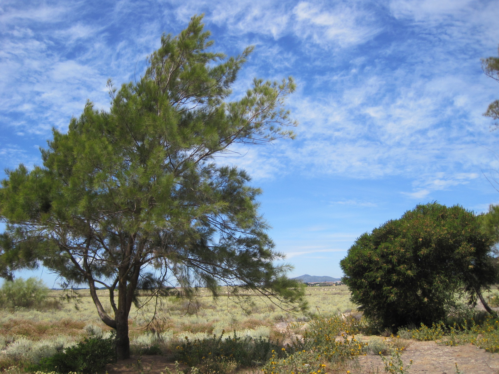 With the hump of Monchique always in the background